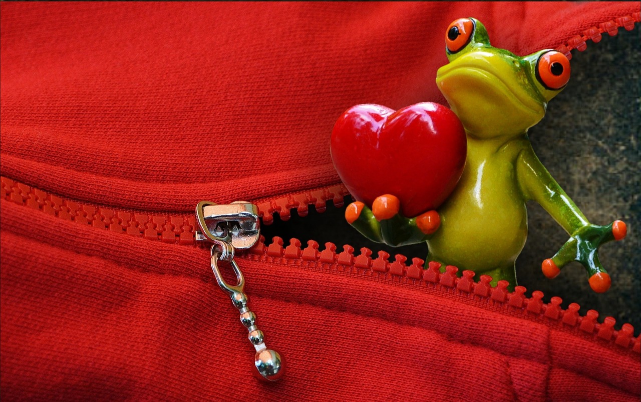 The Different Types of Zipper Pulls and Their Uses - THE FUTURE DREAMS