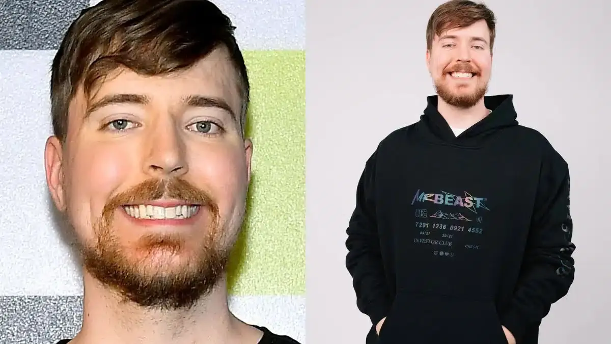 mr beast net worth